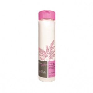 Shampoo hidratação reparadora plant 300ml (NATURA)